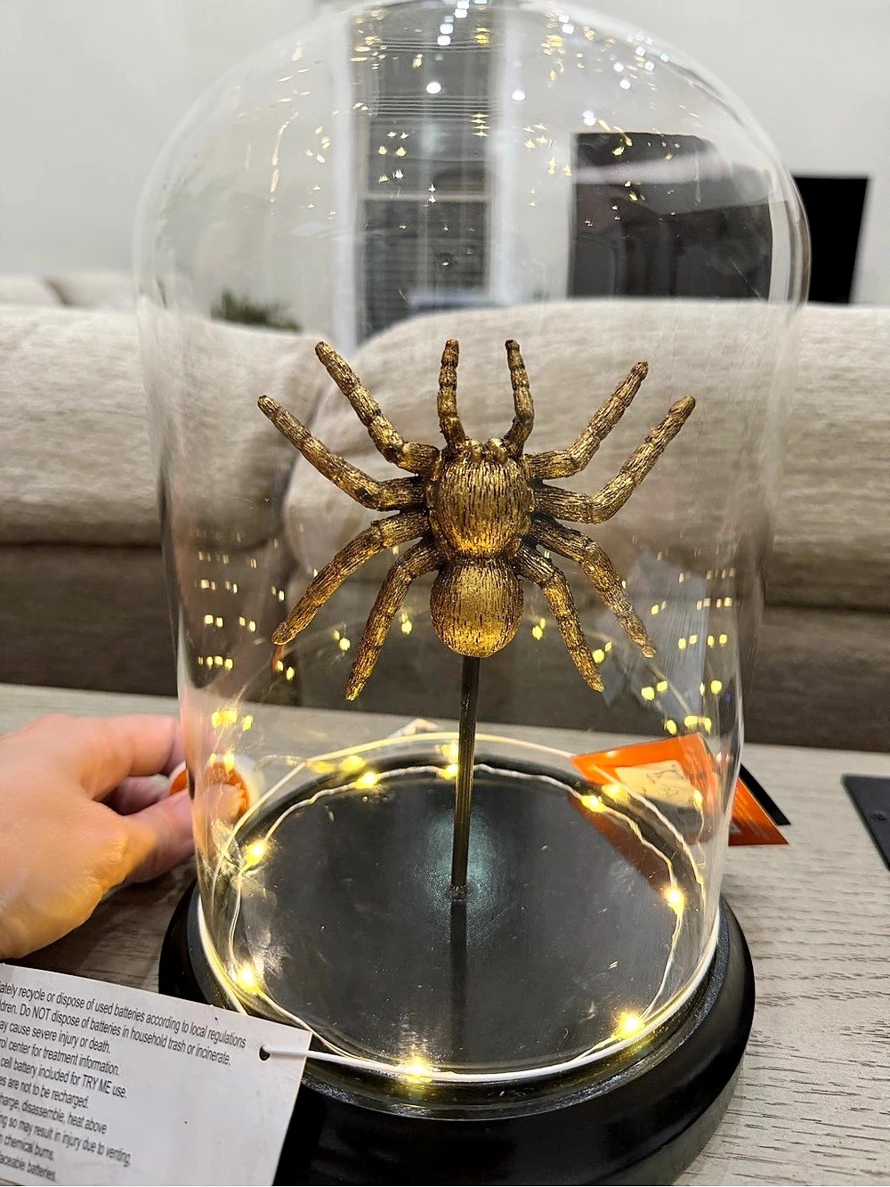 Accent Decor Spider Cloche Decor in Black & Gold